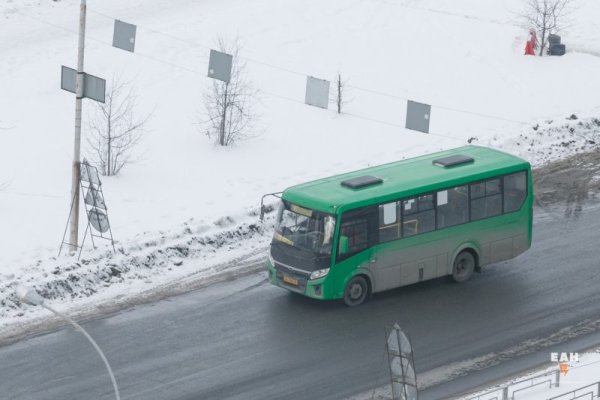 Кракена точка нет